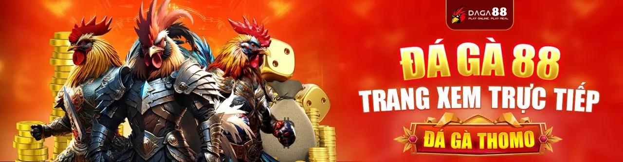Đấu trường đá gà trực tuyến zebet me
